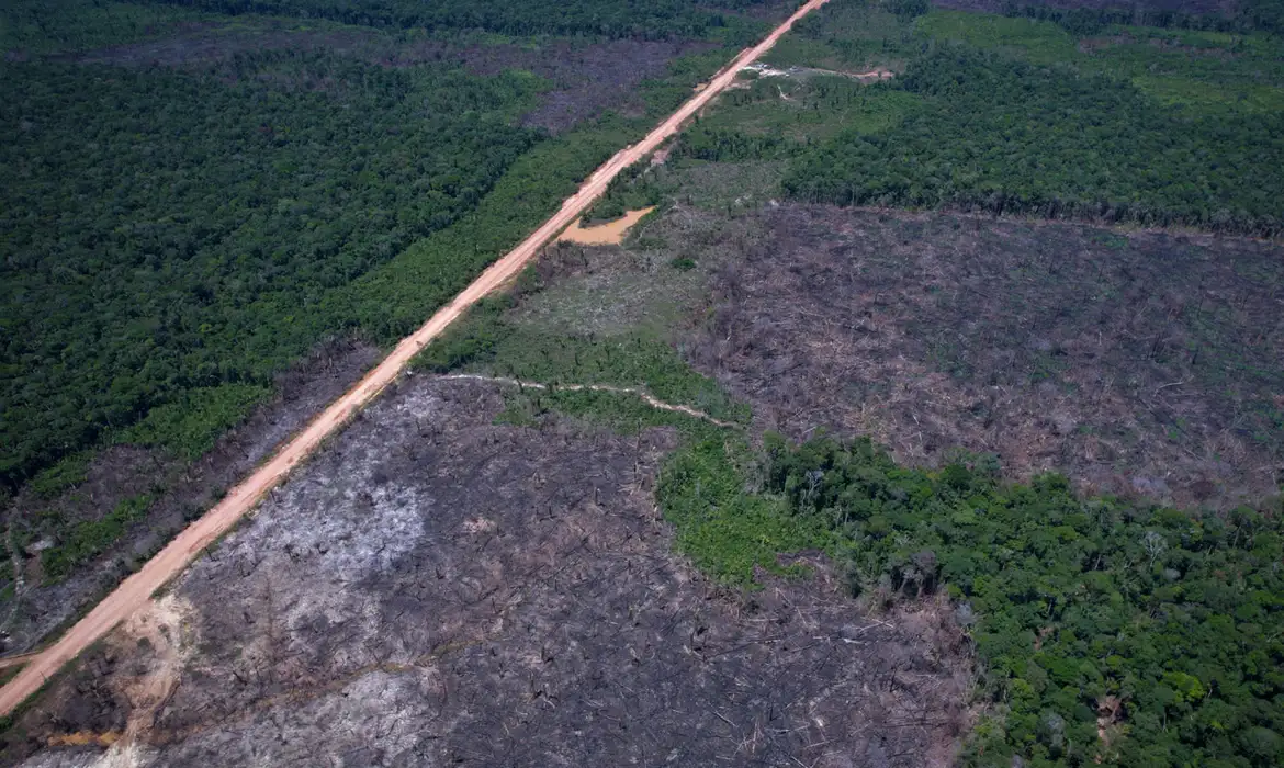 Desmatamento na Amazônia Legal cai 36,87% no último ano