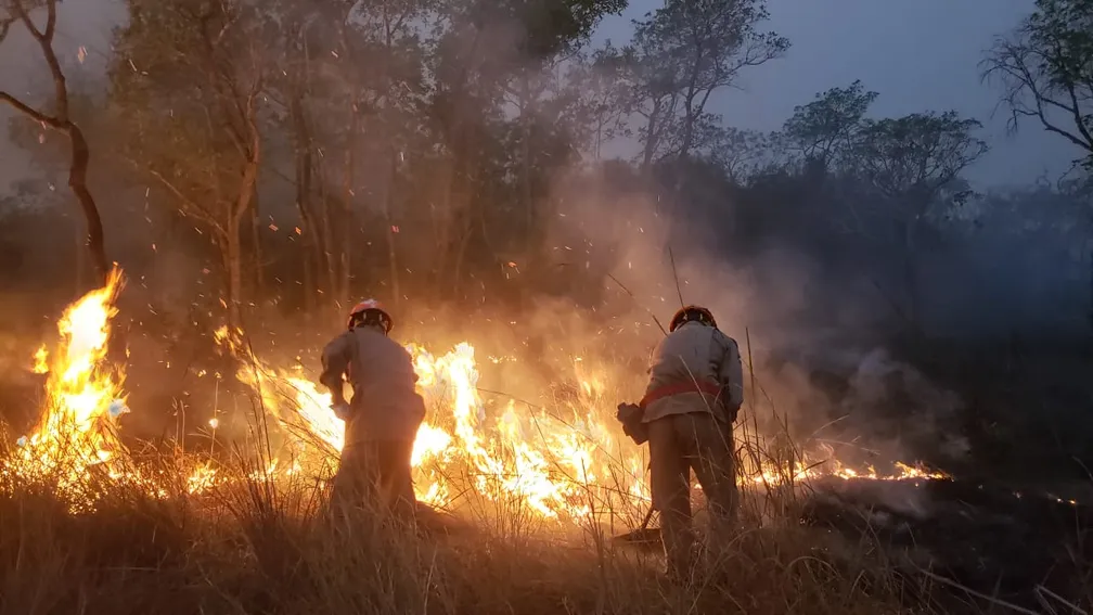 Corpo de Bombeiros extingue três incêndios florestais e combate outros 15 neste Domingo (16)