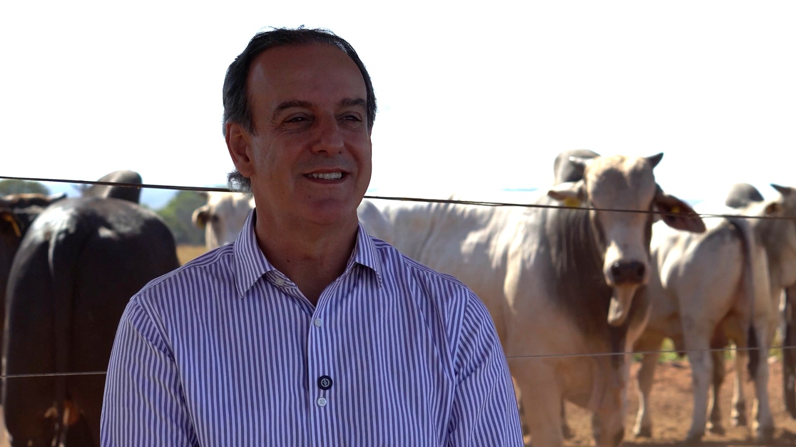 Pecuarista de MT aposta em intensificação para produzir até 24 vezes mais na mesma área e preservar